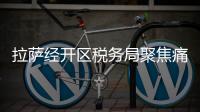 拉薩經開區稅務局聚焦痛點難點 做優納稅服務