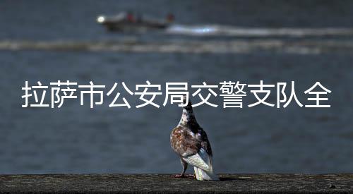 拉薩市公安局交警支隊全力守護群眾交通安全