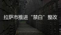 拉薩市推進“禁白”整改落實 查收一次性塑料購物袋600余個
