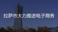 拉薩市大力推進電子商務發(fā)展