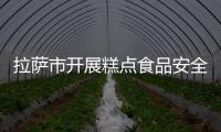 拉薩市開展糕點食品安全整治工作