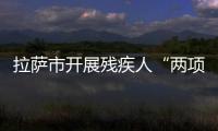 拉薩市開展殘疾人“兩項補貼”信息系統培訓