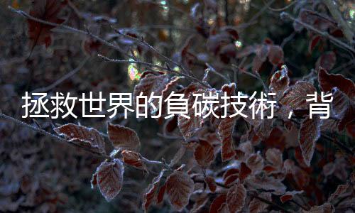 拯救世界的負(fù)碳技術(shù)，背景大揭露