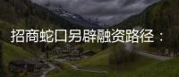 招商蛇口另辟融資路徑：“試水”基礎設施公募REITs