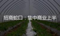 招商蛇口：集中商業(yè)上半年?duì)I收 6.69 億元，核心產(chǎn)品線效應(yīng)凸顯