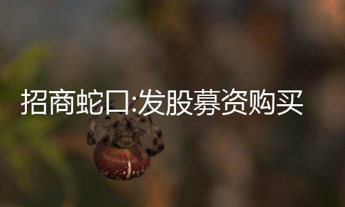 招商蛇口:發(fā)股募資購買資產(chǎn)事項(xiàng)正穩(wěn)步推進(jìn)中