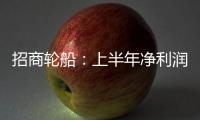 招商輪船：上半年凈利潤同比下降，多元業務組合協同效用持續發揮