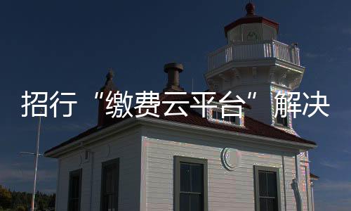 招行“繳費云平臺”解決企業各類繳費問題