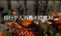 招行個人消費卡額度3000什么意思（招行個人消費貸款）
