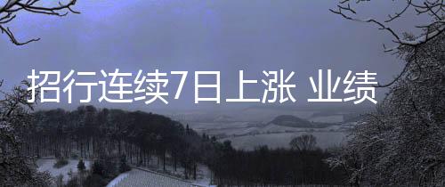 招行連續7日上漲 業績快報披露去年凈利潤同比增長6.22%｜快訊