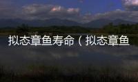 擬態(tài)章魚壽命（擬態(tài)章魚）