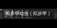 擬步甲幼蟲（擬步甲）