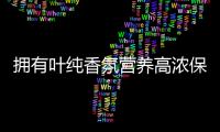 擁有葉純香氛營養高濃保濕發膜 你就是下一位idol!