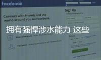 擁有強悍涉水能力 這些SUV車型值得推薦