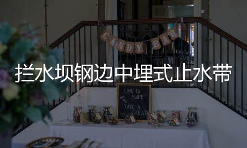 攔水壩鋼邊中埋式止水帶350*10