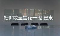 挺價或呈曇花一現 夏末行情節節敗退