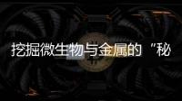 挖掘微生物與金屬的“秘密關系”，他歸國3年后再獲殊榮—新聞—科學網