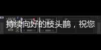 持續向好的枝頭鵲，祝您元宵大吉！