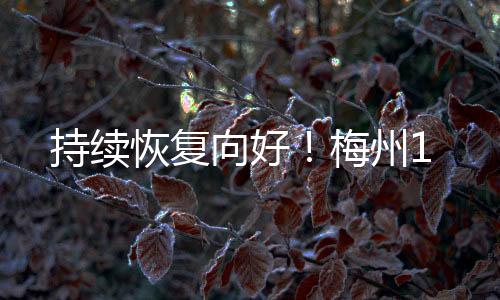 持續恢復向好！梅州1