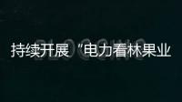 持續開展“電力看林果業”