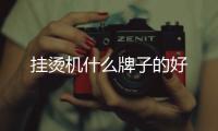掛燙機什么牌子的好