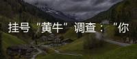 掛號“黃牛”調查：“你掛不上，我有辦法”