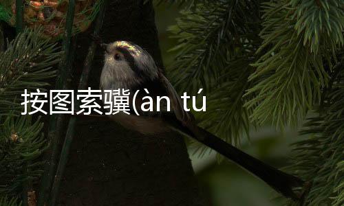按圖索驥(àn tú suǒ jì)什么原因?