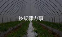 按規(guī)律辦事