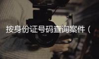 按身份證號碼查詢案件（按身份證號碼查詢案件）