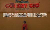 挪威石油基金著眼投資新興市場債券