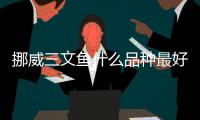 挪威三文魚什么品種最好(挪威三文魚什么品種最貴)