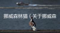 挪威森林貓（關于挪威森林貓的基本情況說明介紹）
