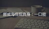 挪威海怪現真身：一口能將一艘船只吞沒