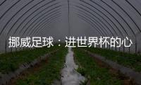 挪威足球：進(jìn)世界杯的心得