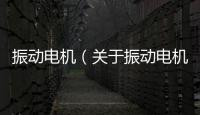 振動電機（關于振動電機的基本情況說明介紹）