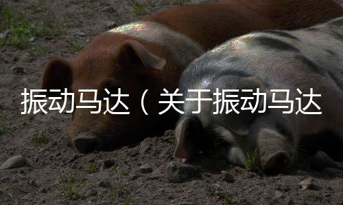 振動馬達（關于振動馬達的基本情況說明介紹）