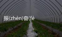 振(zhèn)奮(fèn)人(rén)心(xīn)又是個(gè)什么梗?