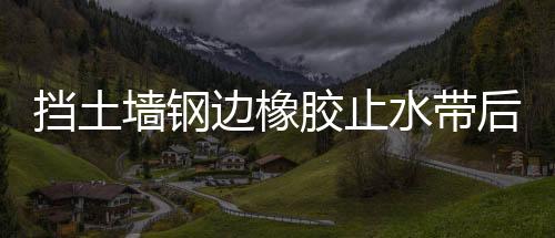 擋土墻鋼邊橡膠止水帶后澆帶做法