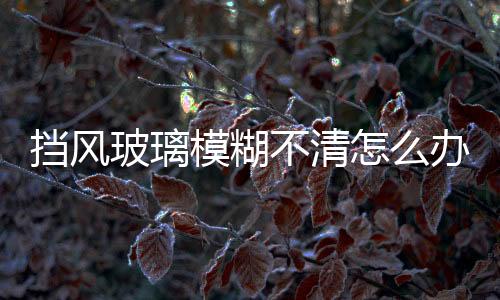 擋風玻璃模糊不清怎么辦  自己怎樣手動添加玻璃水,行業資訊