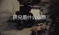 擠兌是什么意思