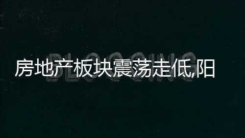 房地產板塊震蕩走低,陽光城跌停