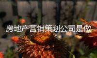 房地產(chǎn)營銷策劃公司是做什么的（地產(chǎn)營銷策劃做什么的）