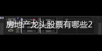 房地產(chǎn)龍頭股票有哪些2022（房地產(chǎn)龍頭股）