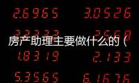 房產助理主要做什么的（房產銷售助理是做什么的）
