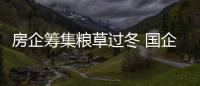 房企籌集糧草過(guò)冬 國(guó)企頻現(xiàn)大額融資