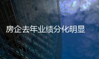 房企去年業(yè)績分化明顯 增“肌”減“重”成潮流