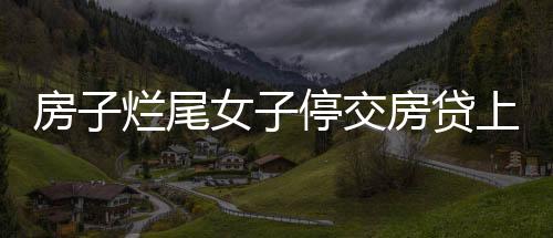 房子爛尾女子停交房貸上黑名單：為一口飯而活，不是為征信