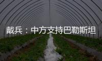 戴兵：中方支持巴勒斯坦成為聯合國正式會員國