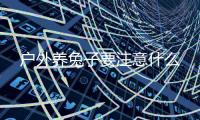 戶外養(yǎng)兔子要注意什么