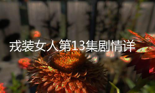 戎裝女人第13集劇情詳細介紹